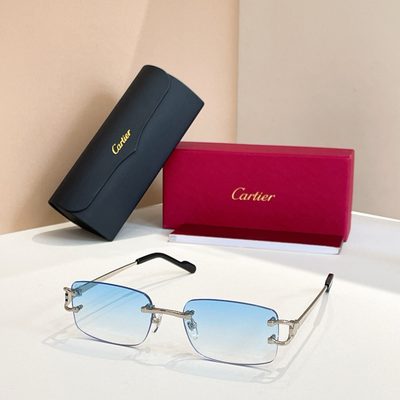 Cartier Sunglasses — 5