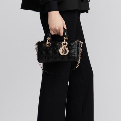 Dior Bag — 3