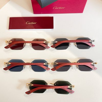 Cartier Sunglasses — 9