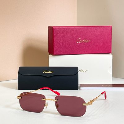 Cartier Sunglasses — 3