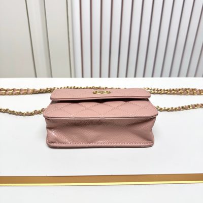 Chanel Bag — 5