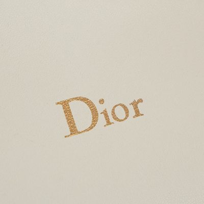 Dior Bag — 4