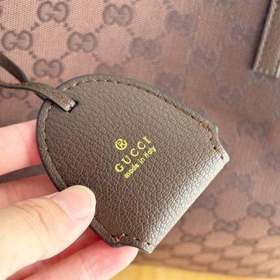 Gucci Bag — 5
