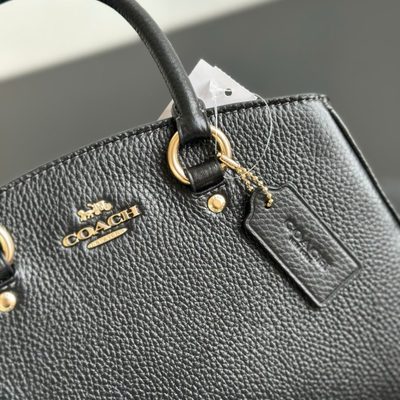 Coach Bag — 5
