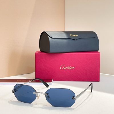 Cartier Sunglasses — 8