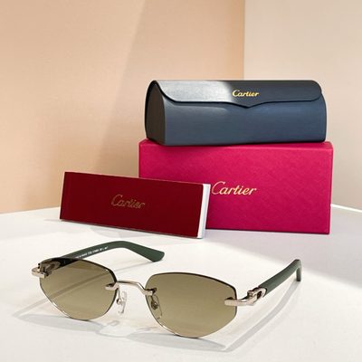 Cartier Sunglasses — 7