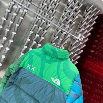 KAWS x The North Face Retro 1996 Nuptse Jacket — 9