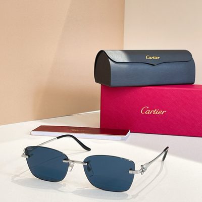 Cartier Sunglasses — 9