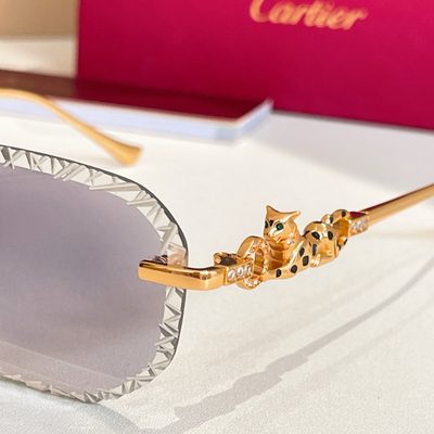 Cartier Sunglasses — 9