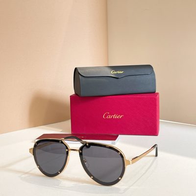 Cartier Sunglasses — 3