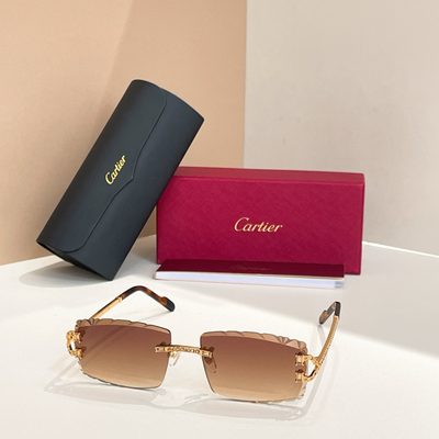 Cartier Sunglasses — 4