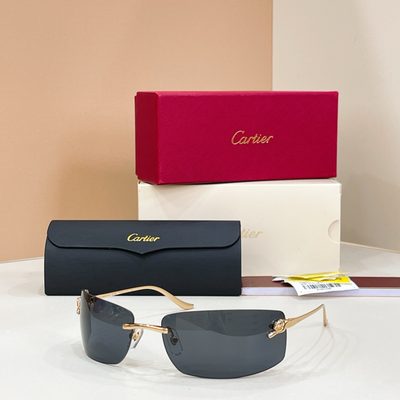 Cartier Sunglasses — 3