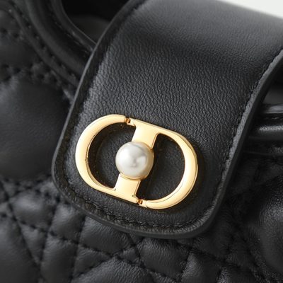 Dior Bag — 6