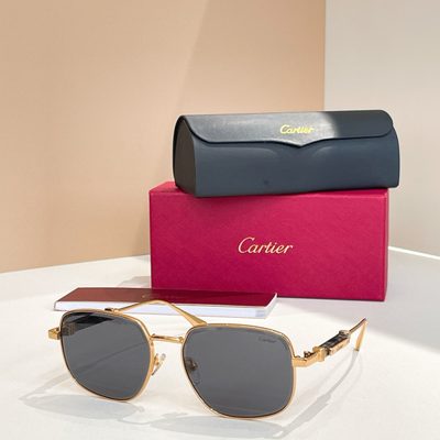 Cartier Sunglasses — 4
