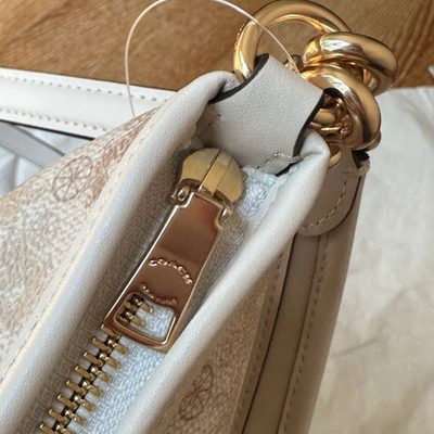 Coach Bag — 6