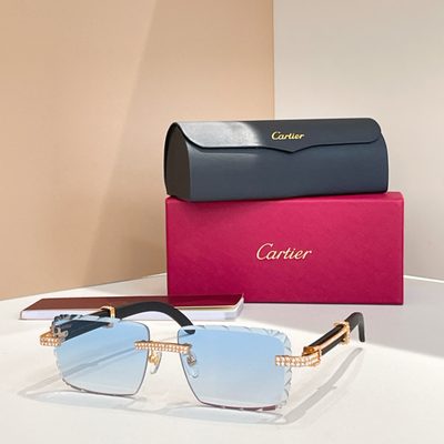Cartier Sunglasses — 6