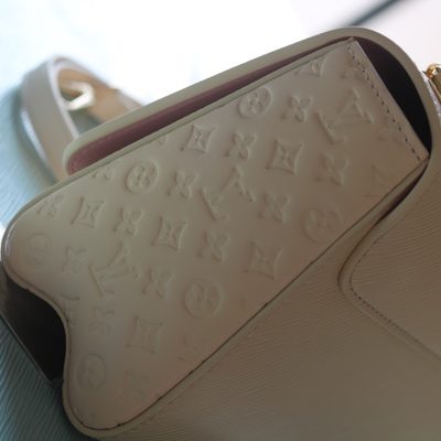 Louis Vuitton Bag — 7