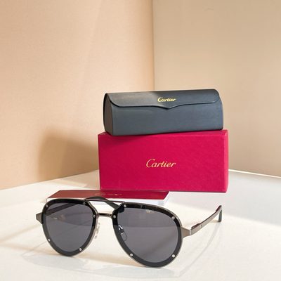Cartier Sunglasses — 7