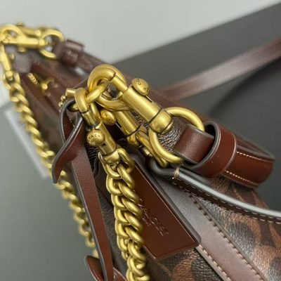 Coach Bag — 7