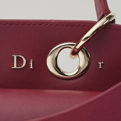 Dior Bag — 5
