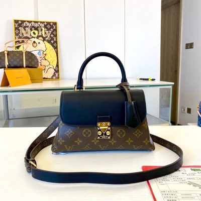 Louis Vuitton Bag