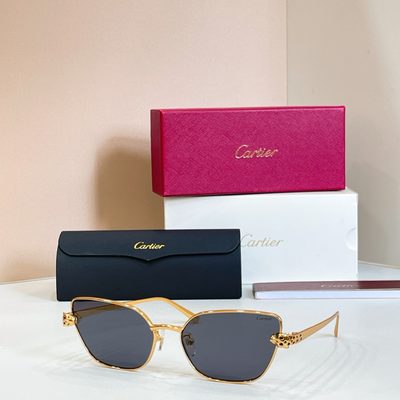 Cartier Sunglasses — 4
