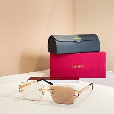 Cartier Sunglasses — 3