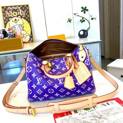 Louis Vuitton Bag — 7