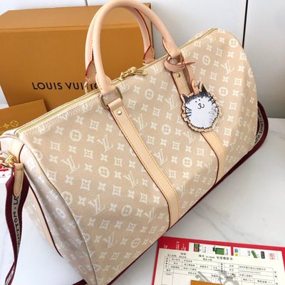 Louis Vuitton Bag — 8