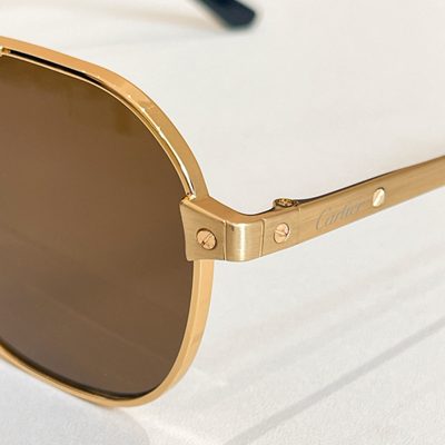 Cartier Sunglasses — 7