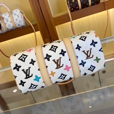 Louis Vuitton Bag — 6