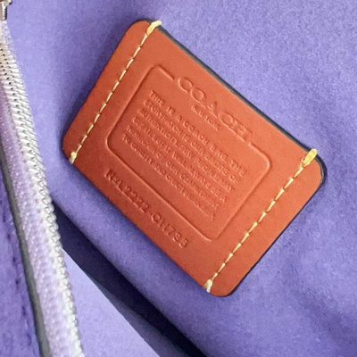 Coach Bag — 46