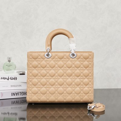 Dior Bag — 3