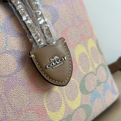 Coach Bag — 6