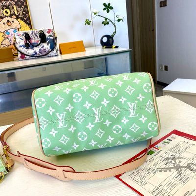 Louis Vuitton Bag — 8