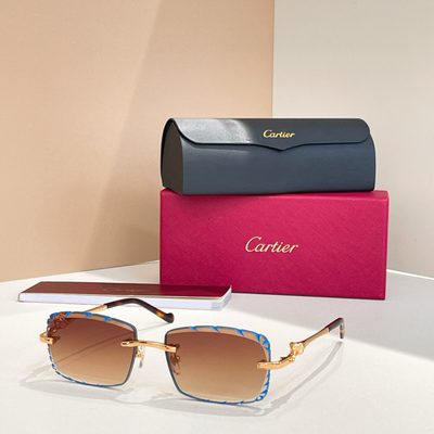 Cartier Sunglasses — 7