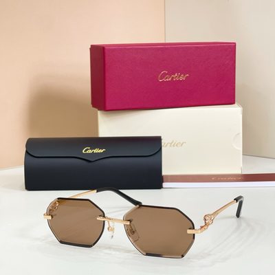 Cartier sunglasses — 5