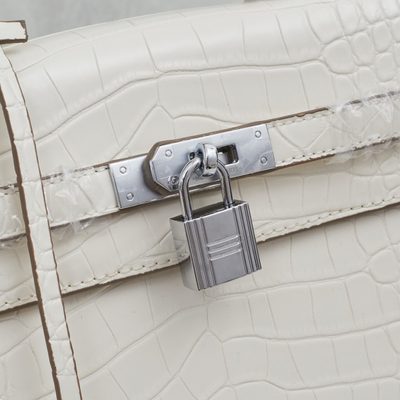 Hermes Bag — 6