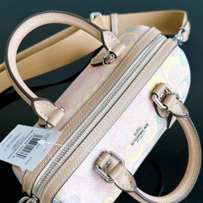 Coach Bag — 6