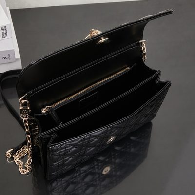 Dior Bag — 9
