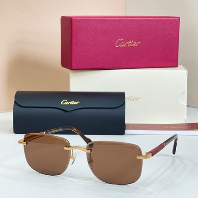 Cartier sunglasses — 6
