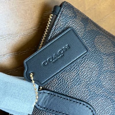 Coach Bag — 6