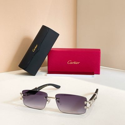 Cartier Sunglasses — 4