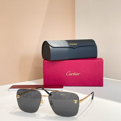 Cartier Sunglasses — 6