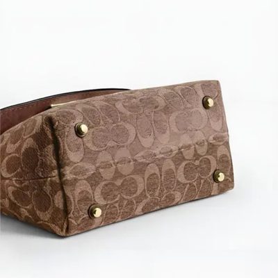 Coach Bag — 3