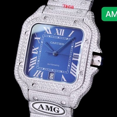 Cartier Watch — 4