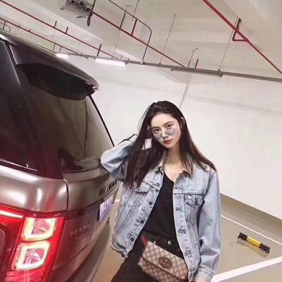 Gucci Bag — 5