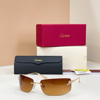 Cartier Sunglasses — 4