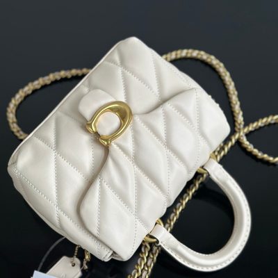 Coach Bag — 3
