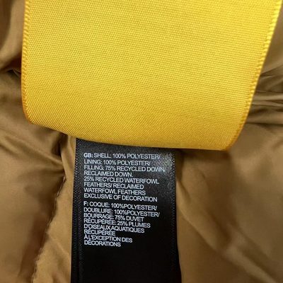 The North Face 1996 Retro Nuptse Down Jacket — 10
